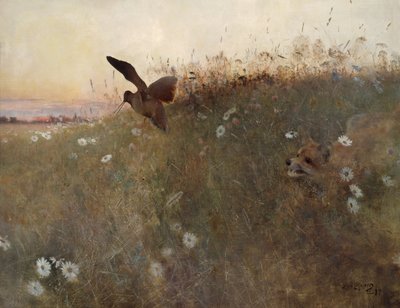 Zorro y becada de Bruno Andreas Liljefors