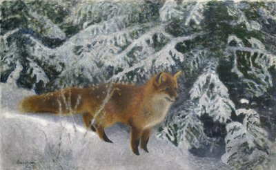 Zorro en invierno de Bruno Andreas Liljefors