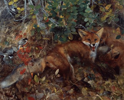 Zorras de Bruno Andreas Liljefors