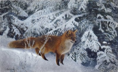 zorro de invierno de Bruno Andreas Liljefors