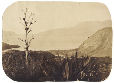 Lago y monte Tarawera desde Te Wairoa, 1860 de Bruno Hamel