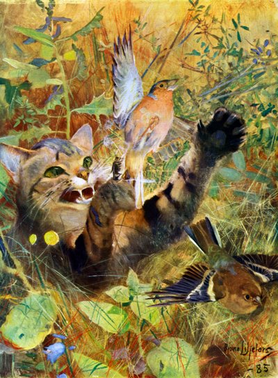 Un gato y un pinzón, 1885 1945 de Bruno Andreas Liljefors