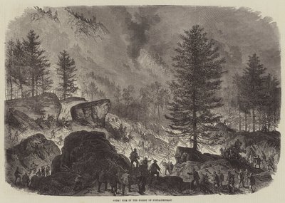 Gran incendio en el bosque de Fontainebleau de Burn Smeeton