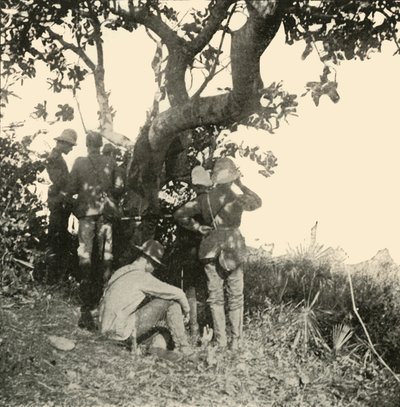 Árbol desde el cual el Capitán Paget... Vio... Batalla de San Juan, Guerra Hispanoamericana, junio de 1898, 1899 de Burr McIntosh