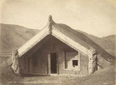 Casa Runanga - Wairoa - Después de la erupción 10 de junio de 1886, julio de 1886 de Burton Brothers Studio