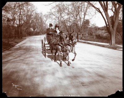 Anna Held y Florenz Ziegfeld conduciendo un carruaje tirado por caballos, Nueva York, 1904 de Byron Company
