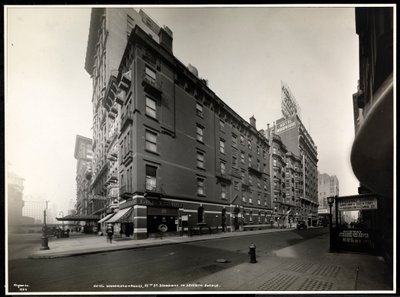 El Hotel Woodward, Broadway y la calle 55, Nueva York, 1920 de Byron Company