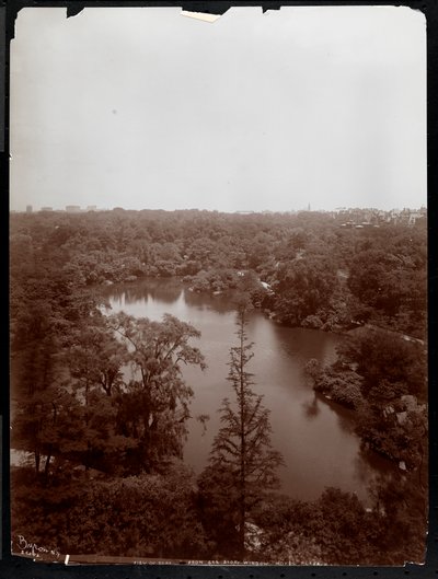 Vista de Central Park desde el cuarto piso del Plaza Hotel, 5th Avenue y 59th Street, 1907 de Byron Company