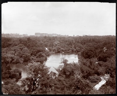 Vista de Central Park desde el Hotel Plaza, 5ª Avenida y Calle 59, Nueva York, 1907 de Byron Company