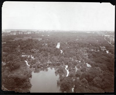 Vista de Central Park desde el Plaza Hotel, 5ª Avenida y Calle 59, Nueva York, c.1907 de Byron Company