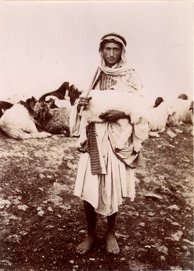 Un pastorcillo llevando un cordero, c.1894-1914 de C.A. Hornstein