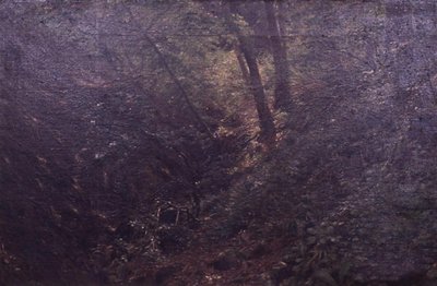 Primavera en un barranco de C.A. Kølle