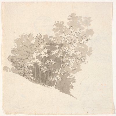 Grupo de árboles de C.A. Lorentzen