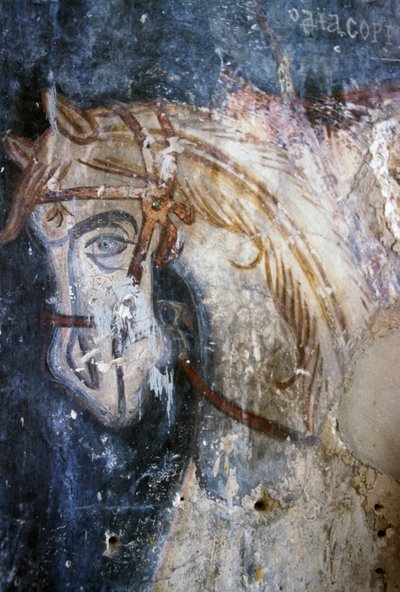 Caballo, detalle de un fresco en la iglesia de Agios Georgios, Vathiako, Creta, Grecia (foto) de J.B. and Brown J. Rowbotham