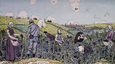 Nuestros viticultores cosechados bajo fuego, la cosecha en la región de Champagne en 1914, Primera Guerra Mundial, Francia, siglo XX de J.B. and Brown J. Rowbotham