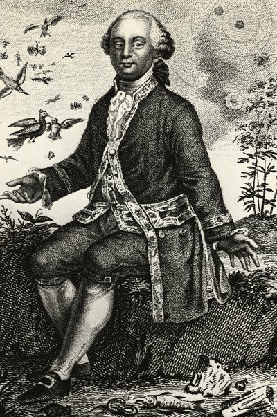 Retrato de Georges-Louis Leclerc de Buffon (1707-1788), naturalista y matemático francés, grabado de J.B. and Brown J. Rowbotham