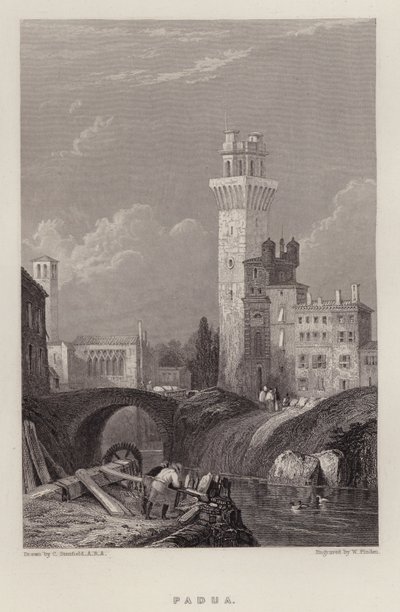 Padua de C. (after) Stanfield