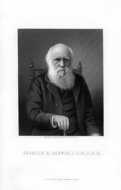 Charles Darwin, naturalista británico de C. Cook