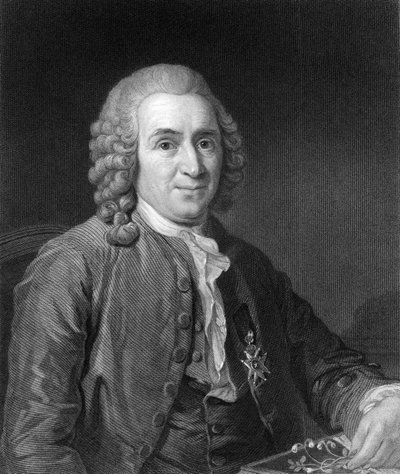 Carolus Linnaeus, naturalista sueco del siglo XVIII, 1836 de C. E. Wagstaff