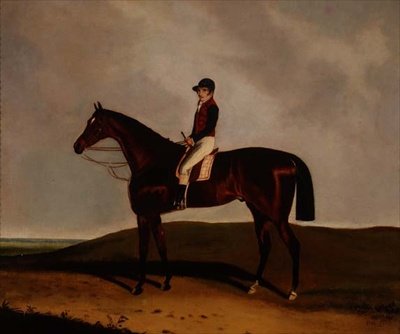 Un caballo de carreras bayo de C. Markham