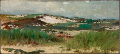 Duna de arena de Nantucket de C. Morgan McIlhenney