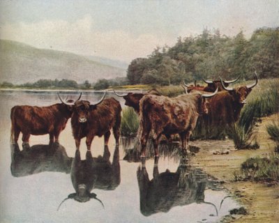 Escocia, c1930s de C. Reid