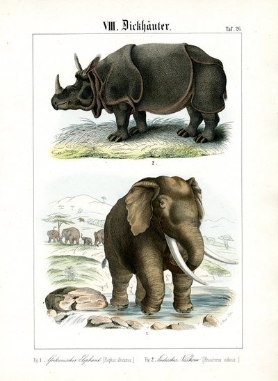  de C. Roth