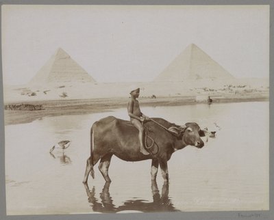 Muchacho en un búfalo con dos pirámides en el fondo en Egipto Beufe et Pyramides (título sobre el objeto) de C. and G. Zangaki