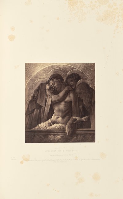Una "Piedad", de C. Crivelli de Caldesi and Montecchi