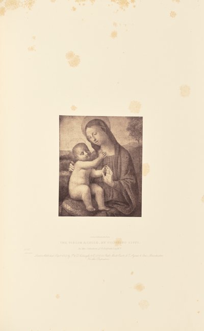 La Virgen con el Niño, de Filippino Lippi de Caldesi and Montecchi