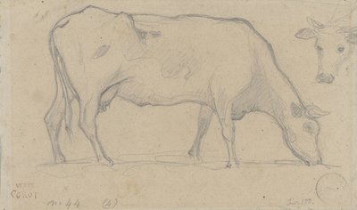 Vaca pastando, arriba a la derecha la cabeza de otra vaca de Camille Corot