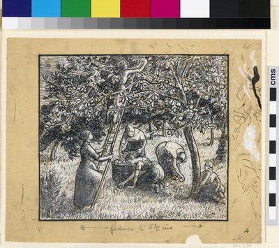 Estudio composicional de campesinas cosechando manzanas de Camille Jacob Pissarro