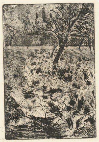 El campo de los tubérculos
El campo de elección de Camille Jacob Pissarro