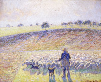 Pastor con ovejas, 1888 de Camille Jacob Pissarro