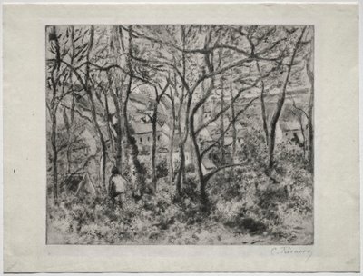 Paisaje boscoso en L