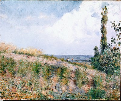 Paisaje de Camille Jacob Pissarro