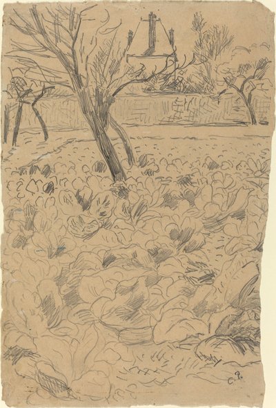 El campo de coles, c. 1880 de Camille Pissarro