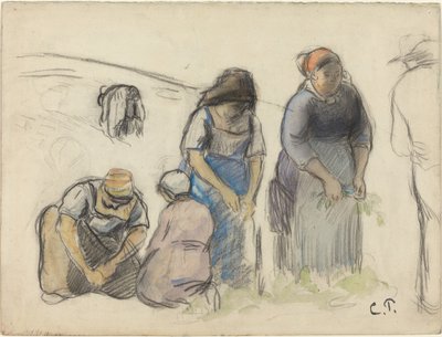 Cosechadores de guisantes [recto], c. 1880 de Camille Pissarro