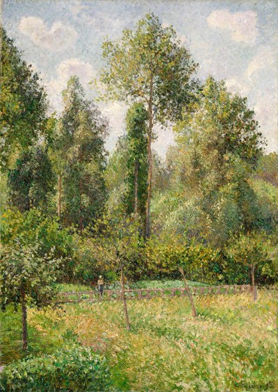 Álamos, Éragny, 1895 de Camille Jacob Pissarro