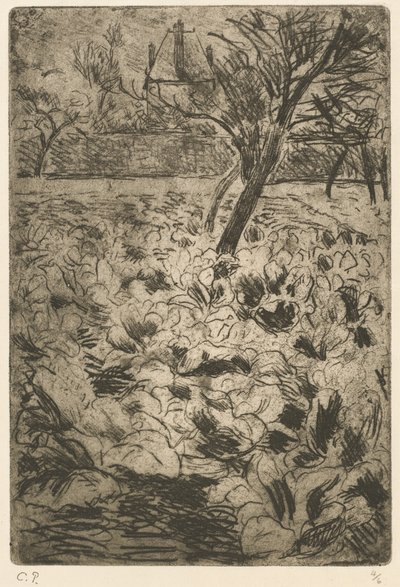 El campo de coles de Camille Pissarro