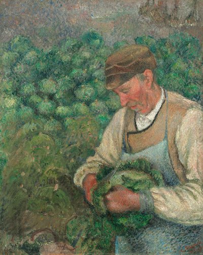 El jardinero - Viejo campesino con col, 1883-1895 de Camille Pissarro