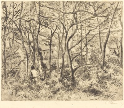 Paisaje boscoso en L