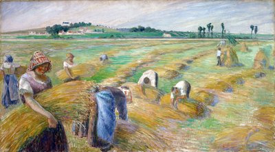 ""la cosecha"" Pintura de Camille Pissarro (1830-1903) Dim 70,3x126 cm 1882 Museo Nacional de Arte Occidental, Tokio de Camille Pissarro