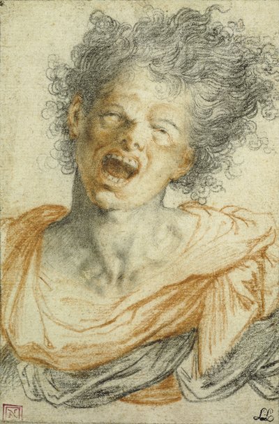 Un joven gritando; Un Jeune Homme Hurlant de Camillo Procaccini