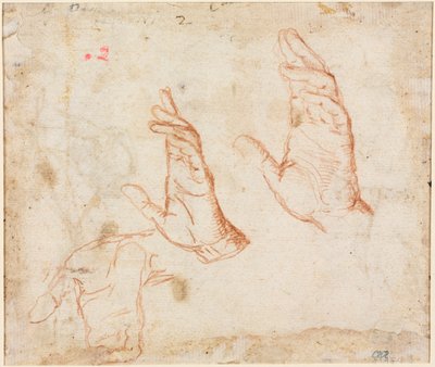 Study of Hands (verso) de Camillo Procaccini