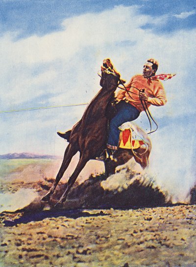 Un vaquero detiene rápidamente su caballo (foto en color) de Canadian Photographer