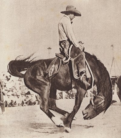 Vaquero montado en un bronco (foto en blanco y negro) de Canadian Photographer