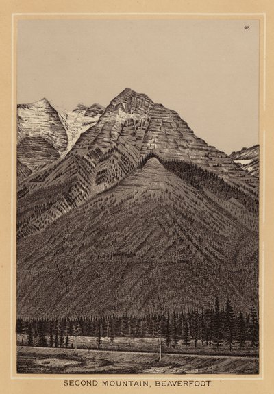 Canadá: Segunda Montaña, Beaverfoot (litografía) de Canadian School