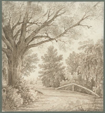 Camino rural sobre un puente sencillo cerca de un árbol pesado de Cantius Dillis
