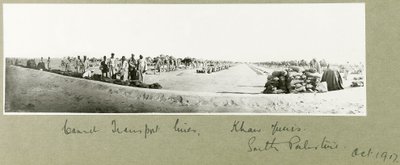 Líneas de Transporte de Camellos, Khan Yunis, octubre de 1917 de Capt. Arthur Rhodes